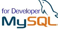 รับสอน จัดอบรม MySQL for Developer